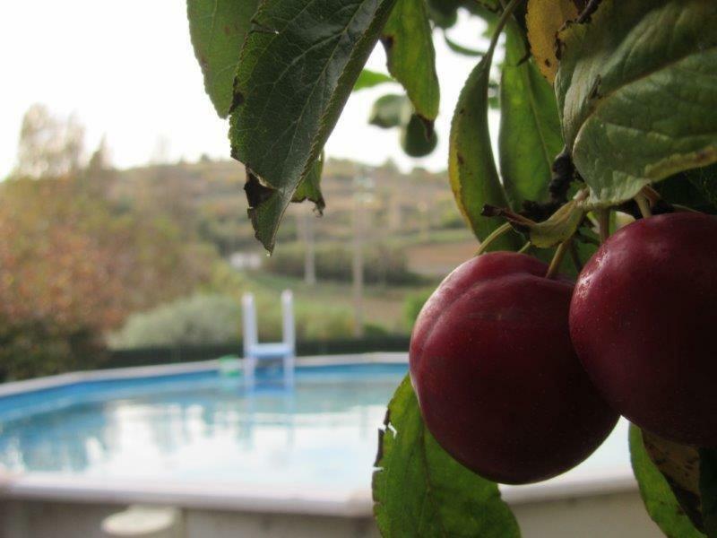 Quintal Do Freixo - Country House Sobral de Monte Agraco Bagian luar foto